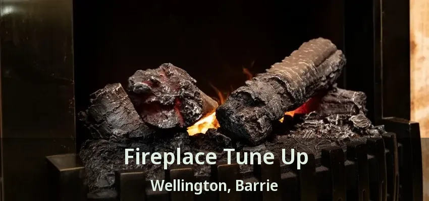 Fireplace Tune Up Wellington, Barrie - ON Fireplace Tune Up Wellington, Barrie - ON