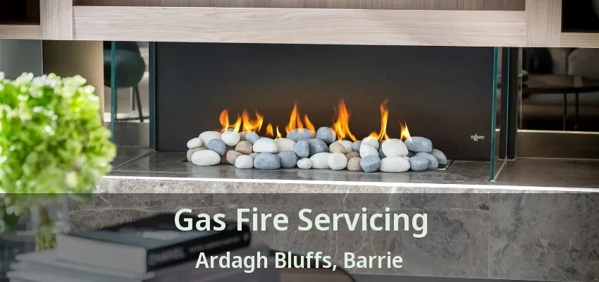 Gas Fire Servicing Ardagh Bluffs, Barrie - ON Gas Fire Servicing Ardagh Bluffs, Barrie - ON