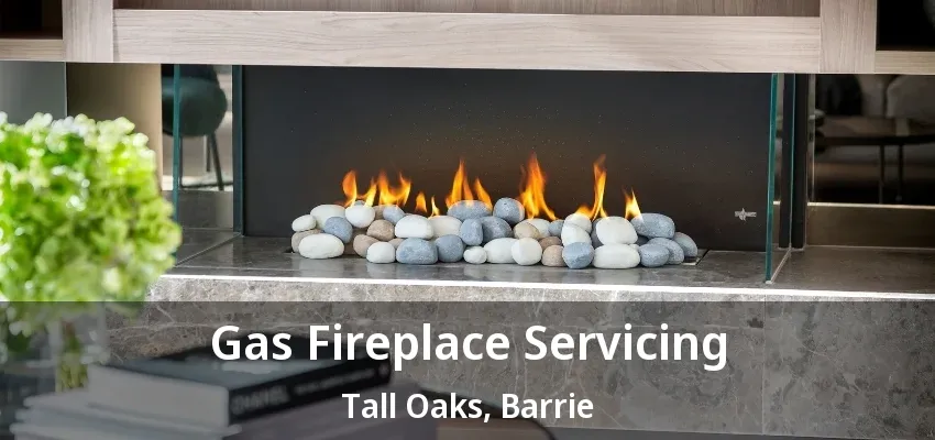 Gas Fireplace Servicing Tall Oaks, Barrie - ON