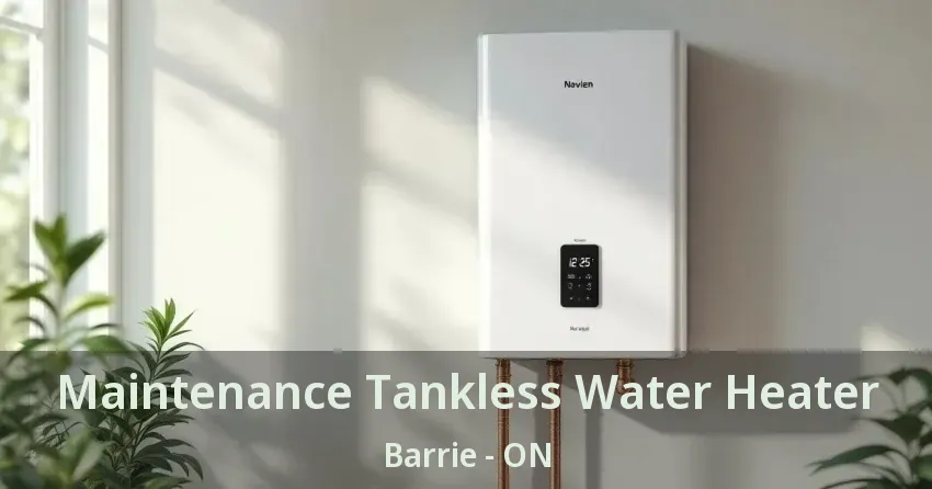 Maintenance Tankless Water Heater Barrie - ON Maintenance Tankless Water Heater Barrie - ON