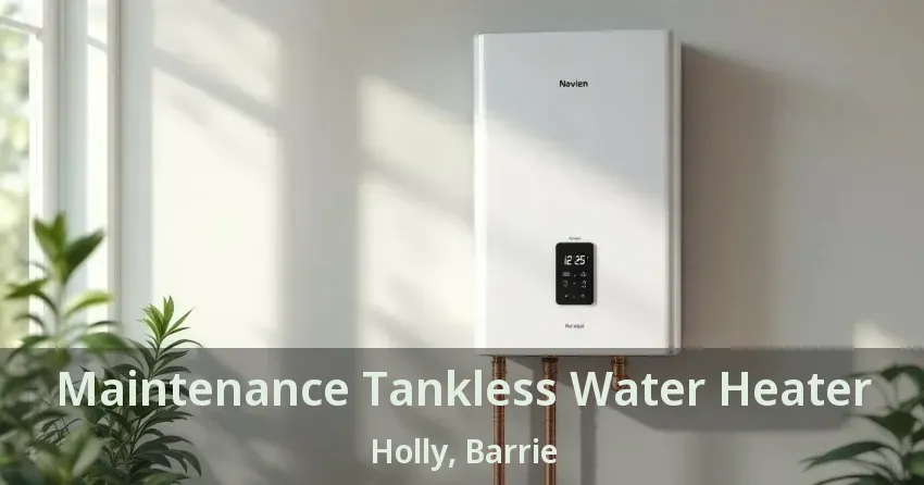 Maintenance Tankless Water Heater Holly, Barrie - ON Maintenance Tankless Water Heater Holly, Barrie - ON