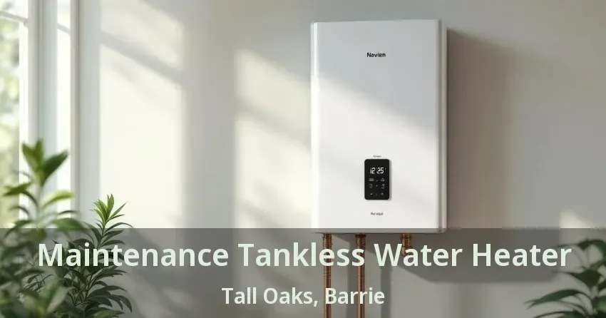 Maintenance Tankless Water Heater Tall Oaks, Barrie - ON Maintenance Tankless Water Heater Tall Oaks, Barrie - ON
