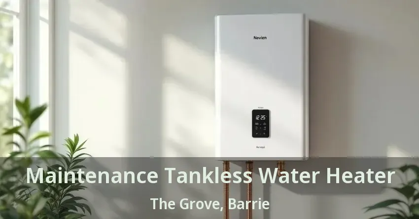 Maintenance Tankless Water Heater The Grove, Barrie - ON Maintenance Tankless Water Heater The Grove, Barrie - ON