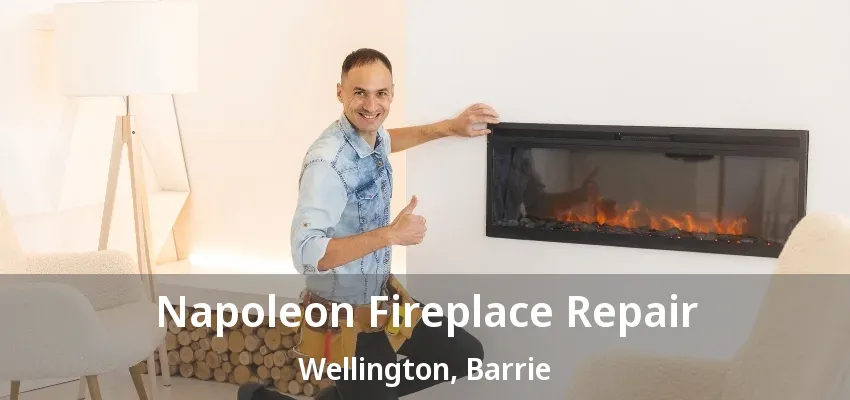 Napoleon Fireplace Repair Wellington, Barrie - ON Napoleon Fireplace Repair Wellington, Barrie - ON