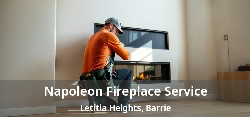 Napoleon Fireplace Service Letitia Heights, Barrie - ON Napoleon Fireplace Service Letitia Heights, Barrie - ON