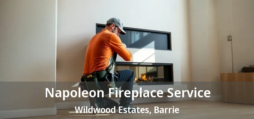 Napoleon Fireplace Service Wildwood Estates, Barrie - ON Napoleon Fireplace Service Wildwood Estates, Barrie - ON