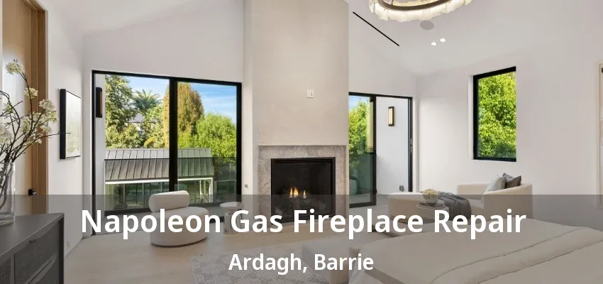 Napoleon Gas Fireplace Repair Ardagh, Barrie - ON