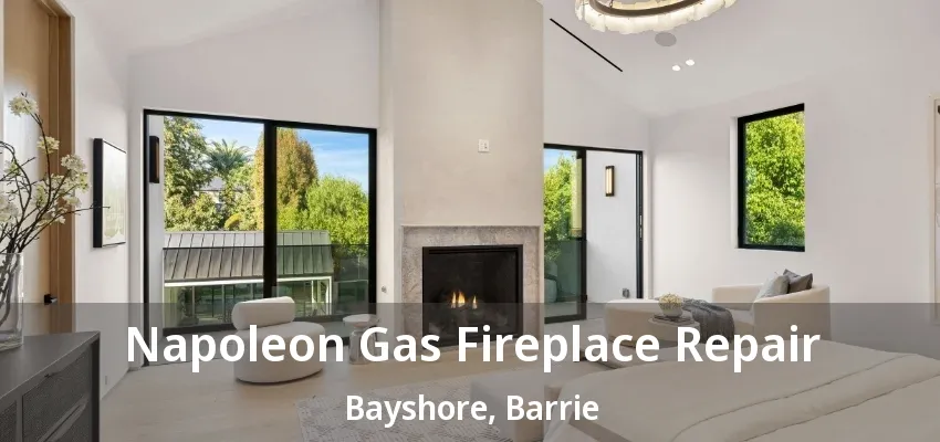 Napoleon Gas Fireplace Repair Bayshore, Barrie - ON Napoleon Gas Fireplace Repair Bayshore, Barrie - ON