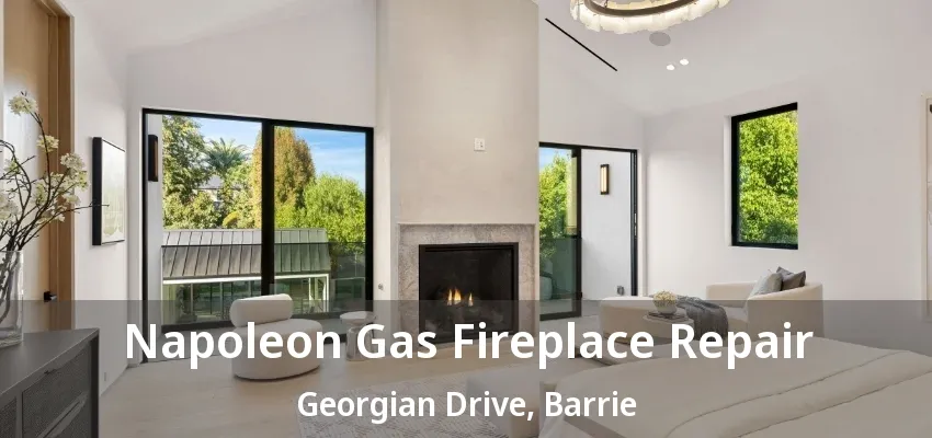 Napoleon Gas Fireplace Repair Georgian Drive, Barrie - ON