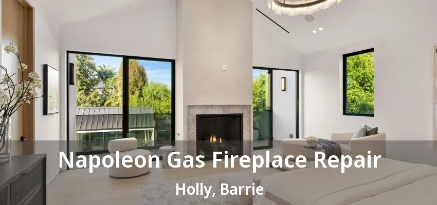 Napoleon Gas Fireplace Repair Holly, Barrie - ON Napoleon Gas Fireplace Repair Holly, Barrie - ON