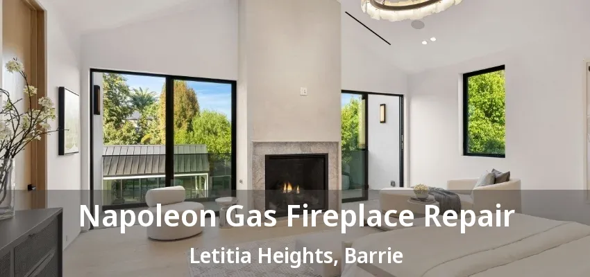 Napoleon Gas Fireplace Repair Letitia Heights, Barrie - ON Napoleon Gas Fireplace Repair Letitia Heights, Barrie - ON