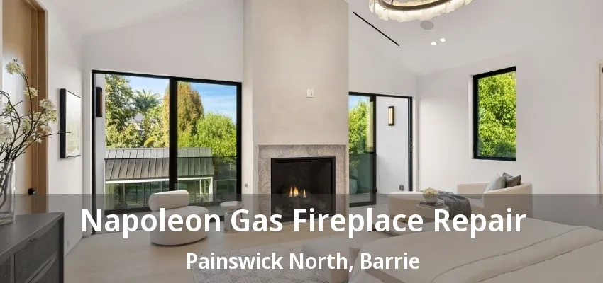 Napoleon Gas Fireplace Repair Painswick North, Barrie - ON