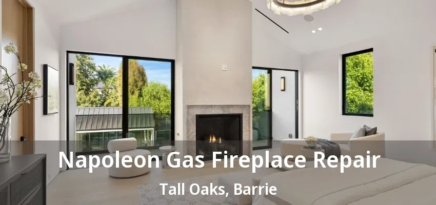 Napoleon Gas Fireplace Repair Tall Oaks, Barrie - ON Napoleon Gas Fireplace Repair Tall Oaks, Barrie - ON
