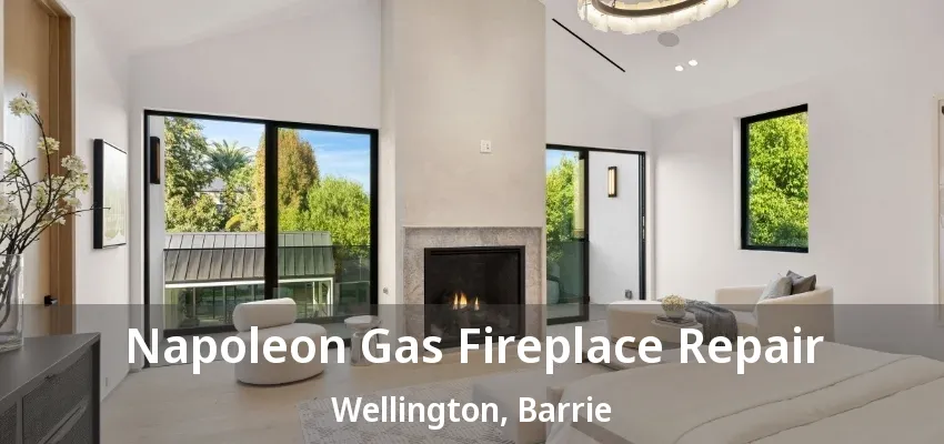 Napoleon Gas Fireplace Repair Wellington, Barrie - ON Napoleon Gas Fireplace Repair Wellington, Barrie - ON