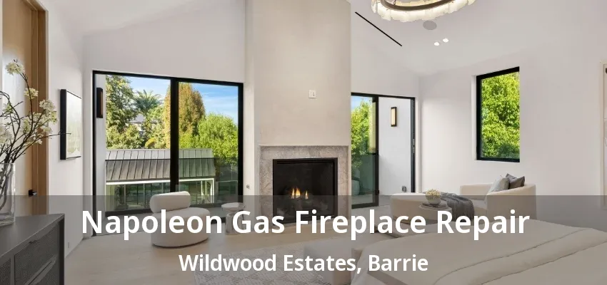 Napoleon Gas Fireplace Repair Wildwood Estates, Barrie - ON Napoleon Gas Fireplace Repair Wildwood Estates, Barrie - ON