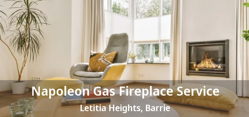 Napoleon Gas Fireplace Service Letitia Heights, Barrie - ON Napoleon Gas Fireplace Service Letitia Heights, Barrie - ON