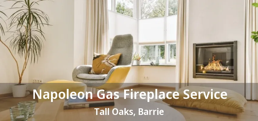 Napoleon Gas Fireplace Service Tall Oaks, Barrie - ON Napoleon Gas Fireplace Service Tall Oaks, Barrie - ON