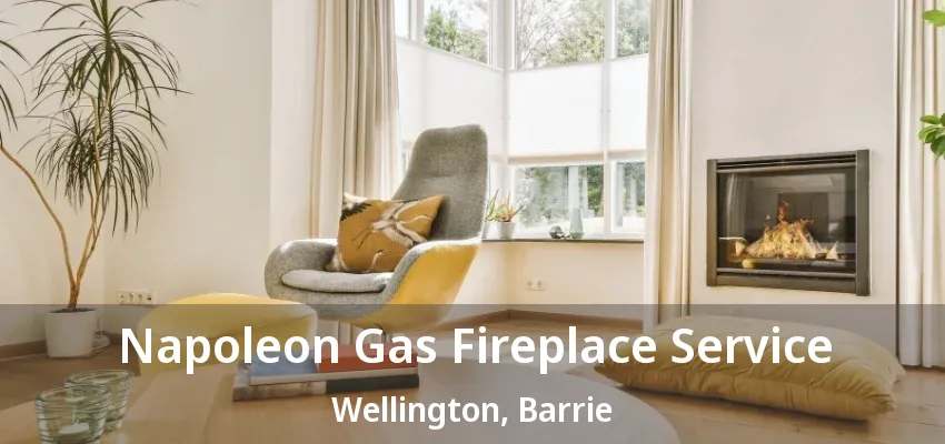 Napoleon Gas Fireplace Service Wellington, Barrie - ON Napoleon Gas Fireplace Service Wellington, Barrie - ON