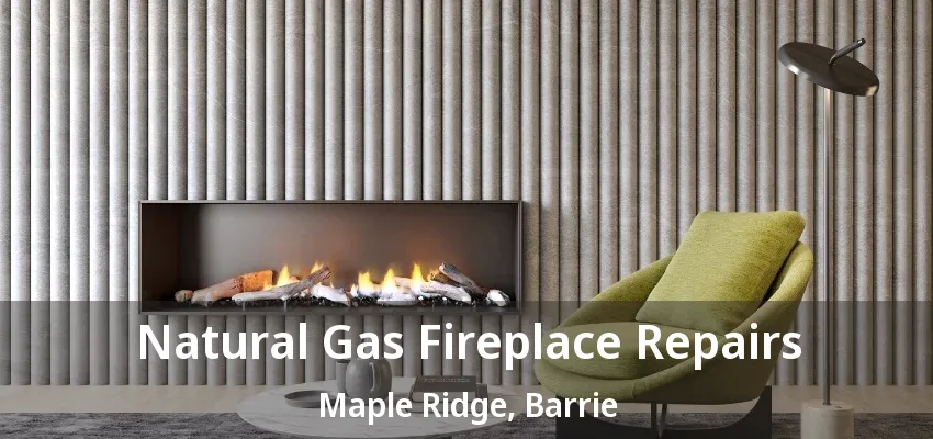 Natural Gas Fireplace Repairs Maple Ridge, Barrie - ON