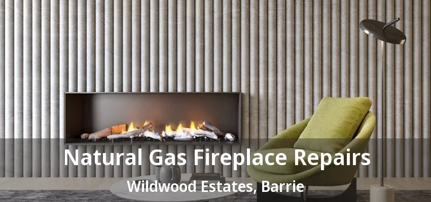 Natural Gas Fireplace Repairs Wildwood Estates, Barrie - ON