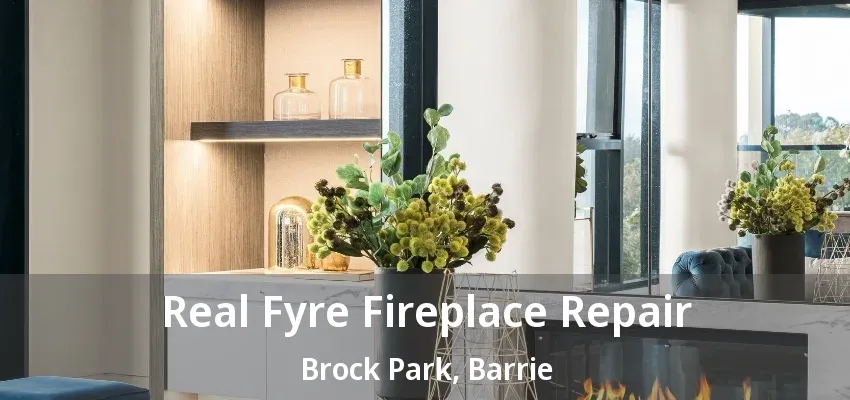 Real Fyre Fireplace Repair Brock Park, Barrie - ON
