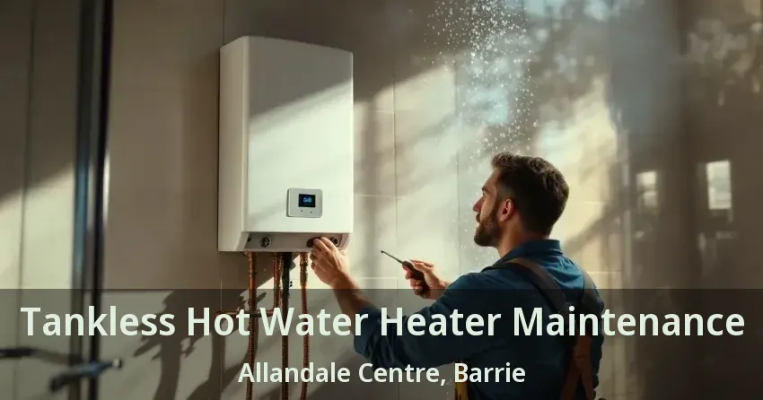 Tankless Hot Water Heater Maintenance Allandale Centre, Barrie - ON Tankless Hot Water Heater Maintenance Allandale Centre, Barrie - ON