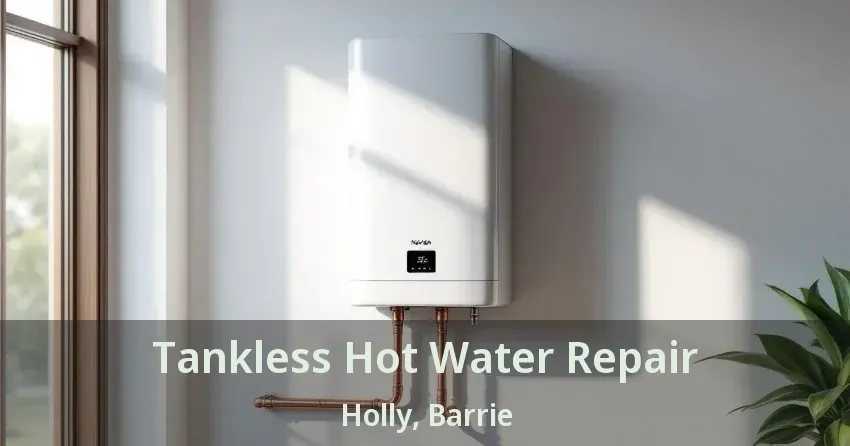 Tankless Hot Water Repair Holly, Barrie - ON Tankless Hot Water Repair Holly, Barrie - ON