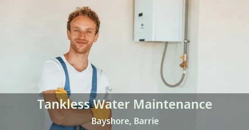 Tankless Water Maintenance Bayshore, Barrie - ON Tankless Water Maintenance Bayshore, Barrie - ON