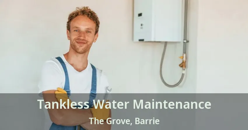 Tankless Water Maintenance The Grove, Barrie - ON Tankless Water Maintenance The Grove, Barrie - ON