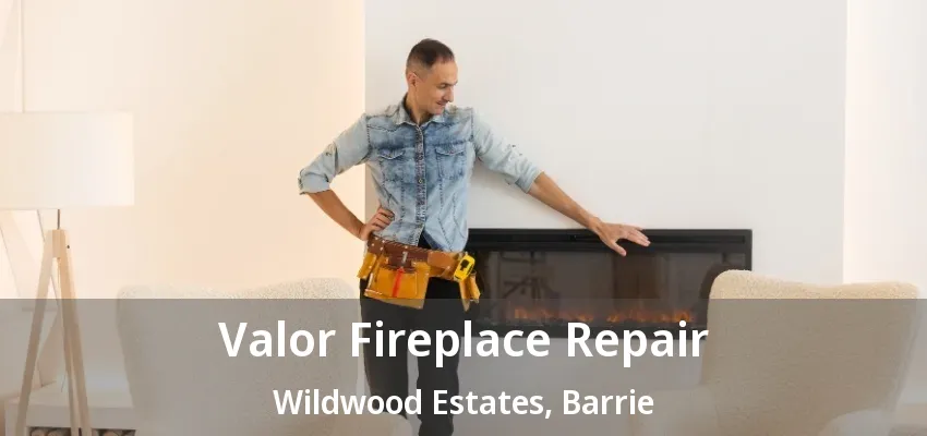 Valor Fireplace Repair Wildwood Estates, Barrie - ON Valor Fireplace Repair Wildwood Estates, Barrie - ON