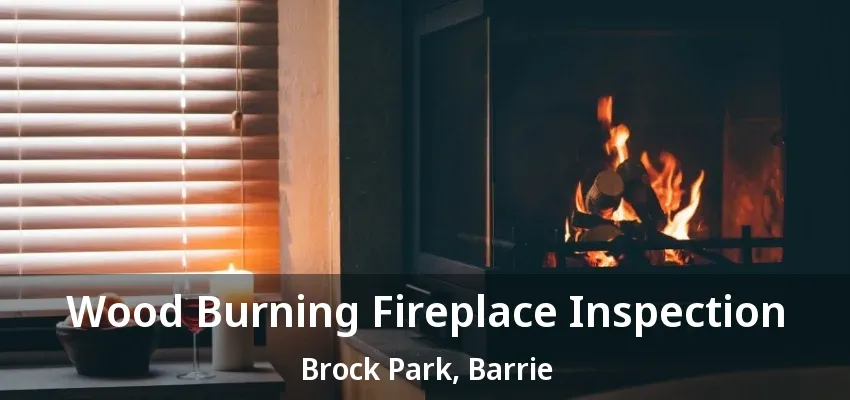 Wood Burning Fireplace Inspection Brock Park, Barrie - ON Wood Burning Fireplace Inspection Brock Park, Barrie - ON